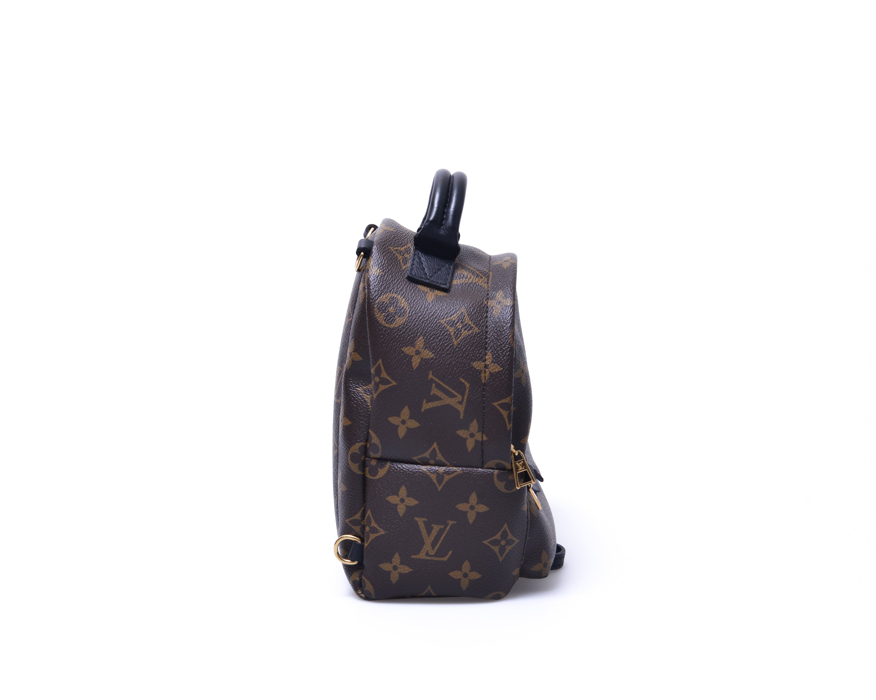 Louis Vuitton Monogram Canvas Palm Springs Mini Backpack Louis