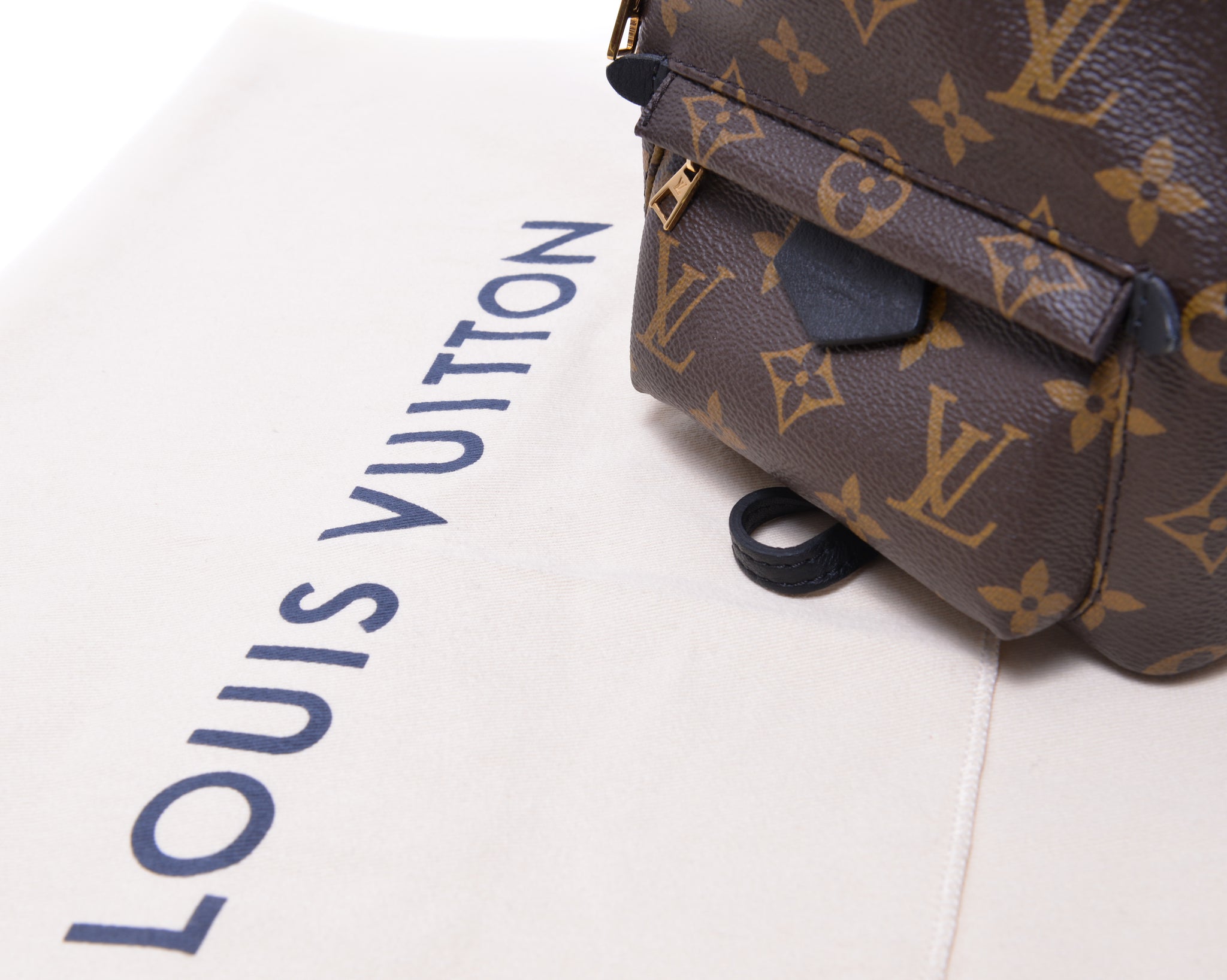 Louis Vuitton Monogram Canvas Palm Springs Mini Backpack Louis Vuitton